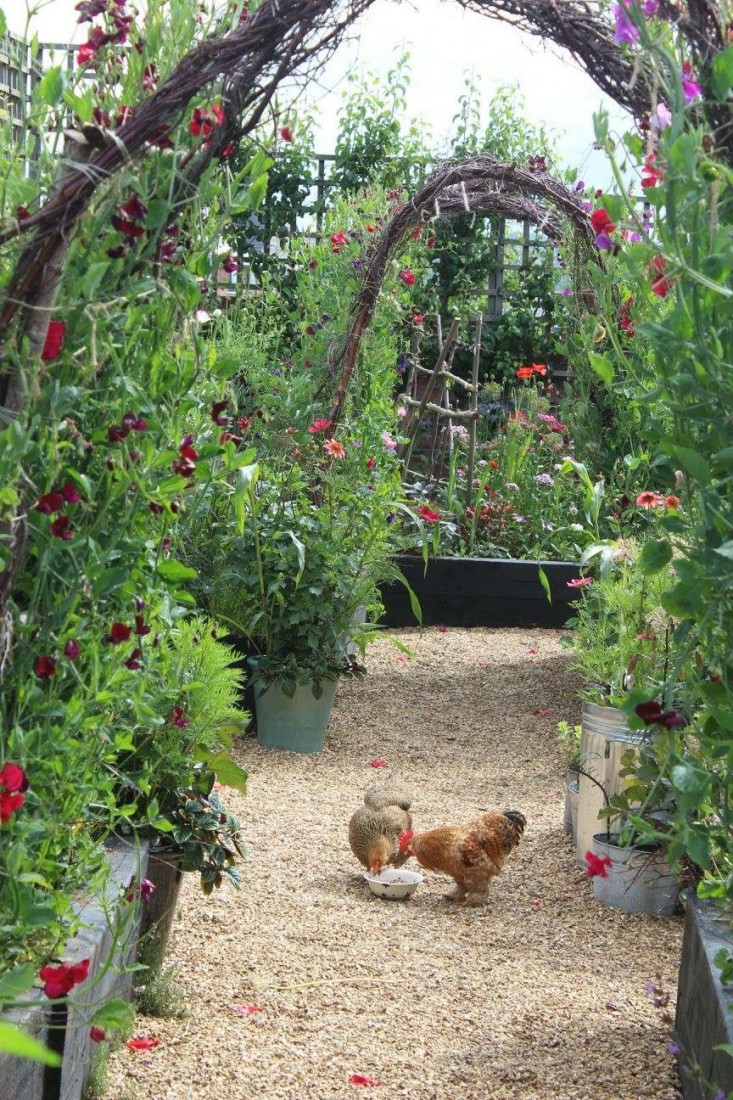 Gardens of Emma Bridgewater by Arthur Atkinson